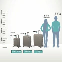 IT Luggage Spontaneous II - 3pc Set (Feather Grey) -Suitcase Sales 2024 Spontaneous Set Pocket Feather Relative Size