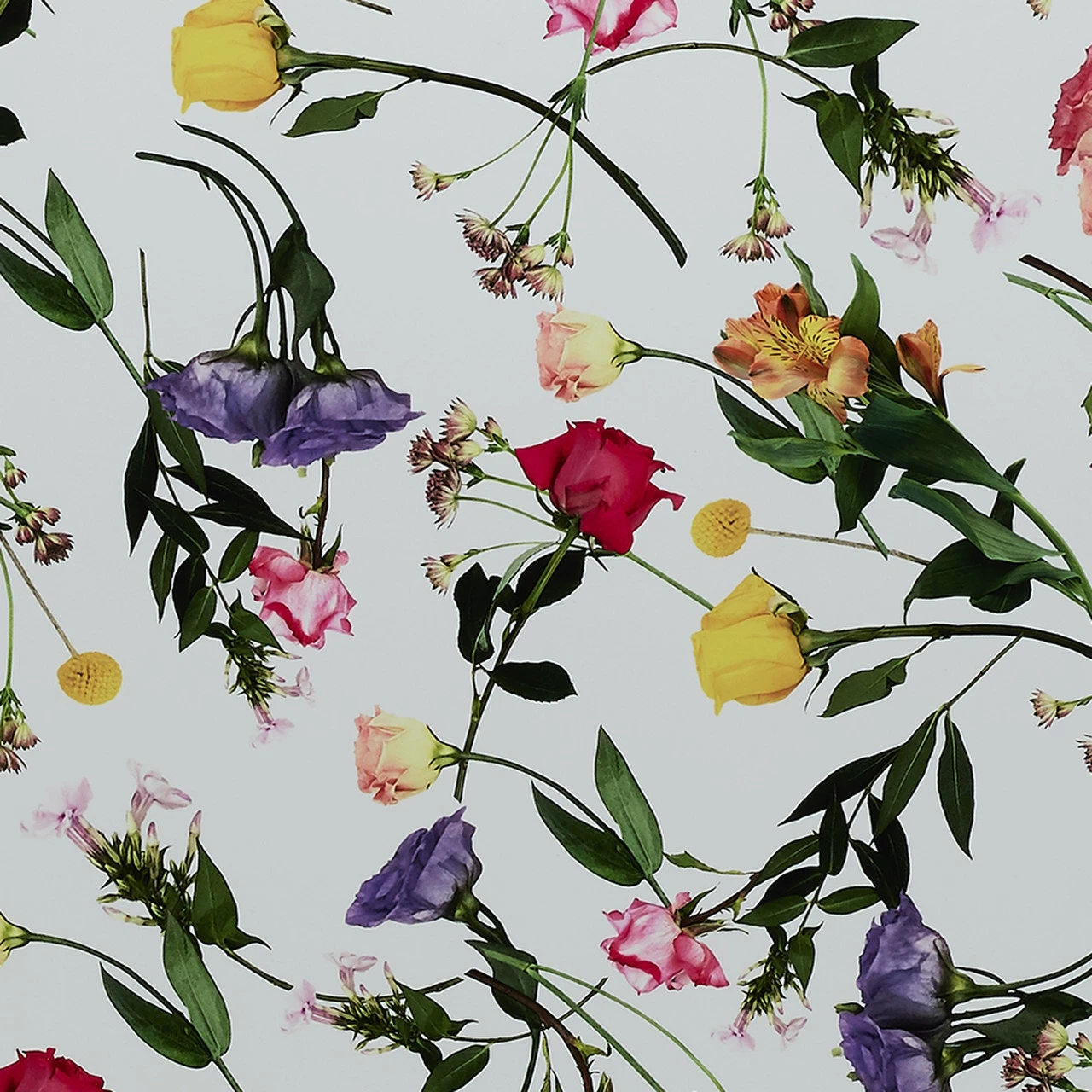 Ted Baker Take Flight 4 Wheel Medium Suitcase - 69cm 20 Ted Baker Take Flight 4 Wheel Medium Suitcase - 69cm - Image 18